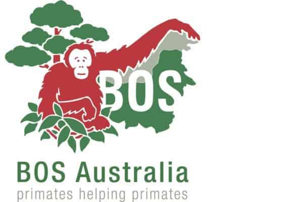 https://redorangutangen.dk/app/uploads/2018/05/BOS_Aust_logo-1-600x400.jpg