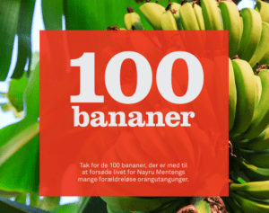 giv gave 100 bananer