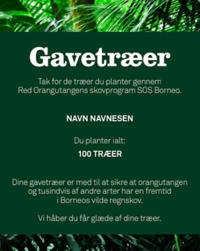 https://redorangutangen.dk/app/uploads/2018/08/gavetræer-400x500.png