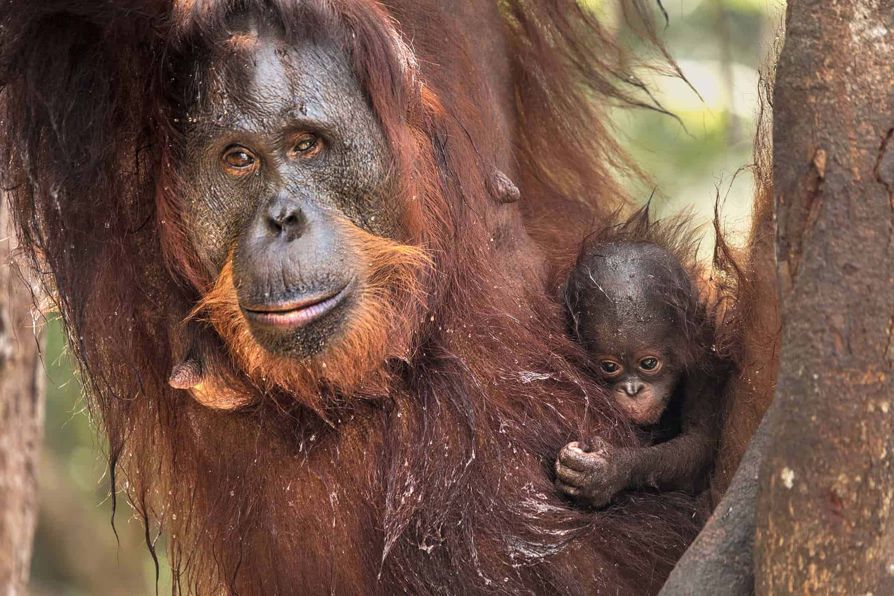 Ponti and 1-month-old baby on Bangamat pre-release island