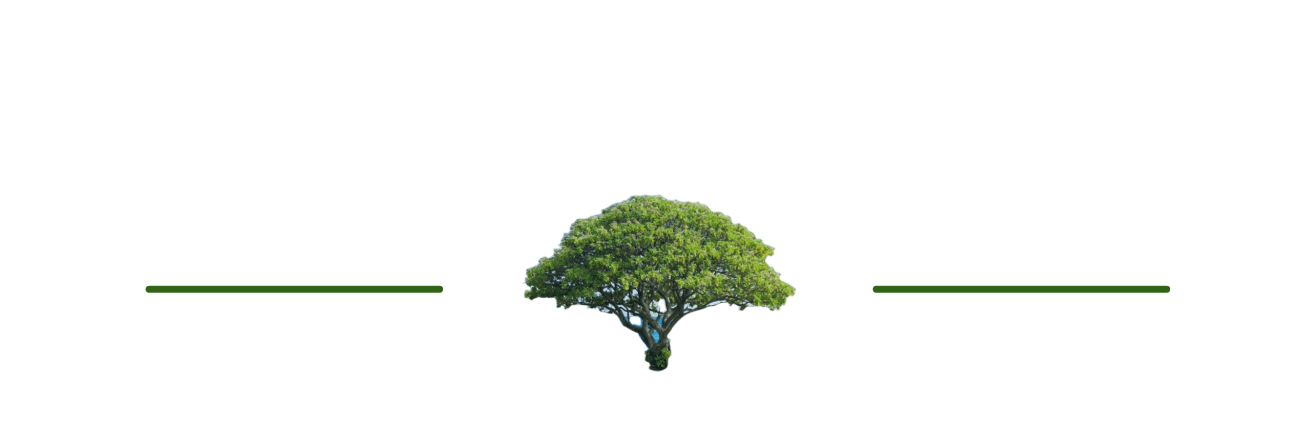 tree spacer tree spacer