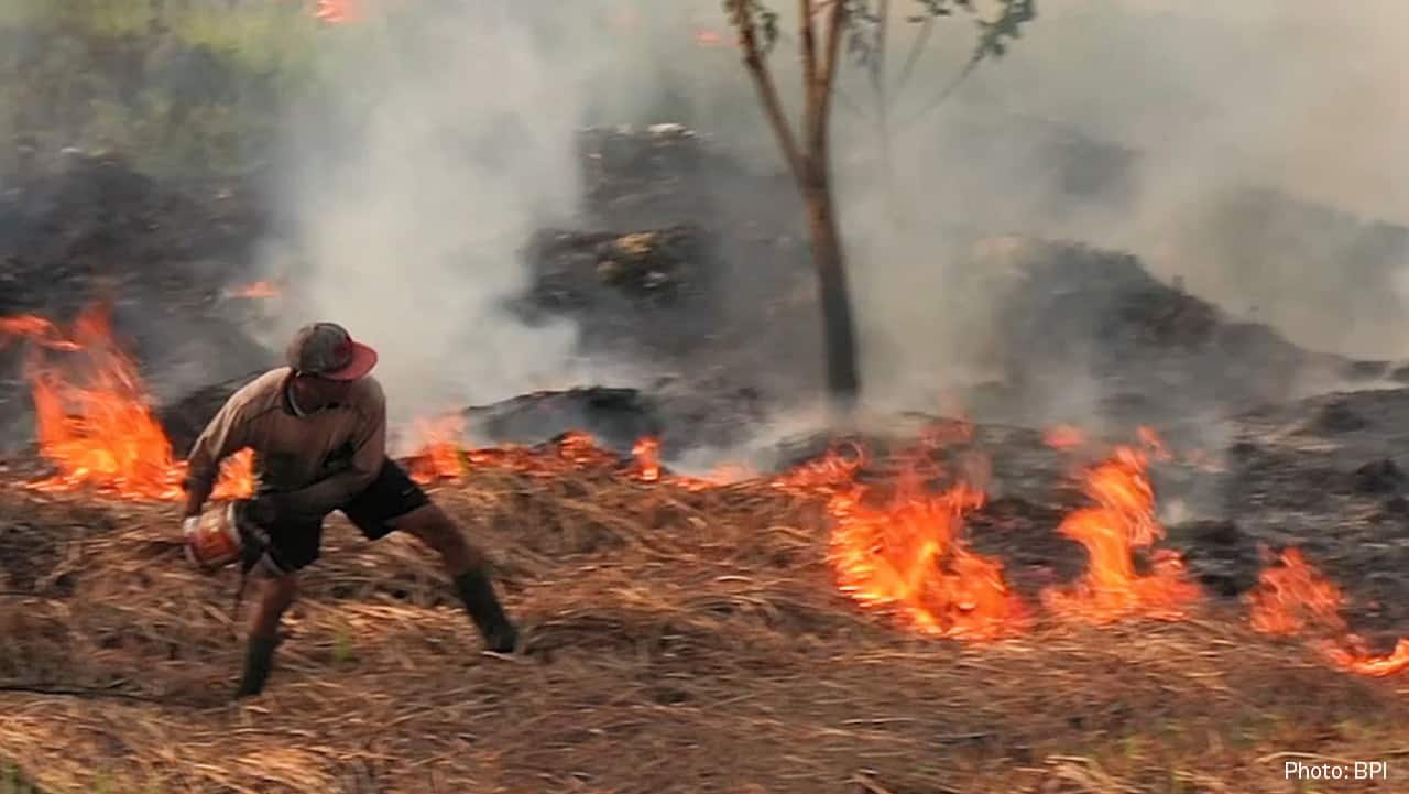 Skogsbränder är farligt för både människans och naturens hälsa