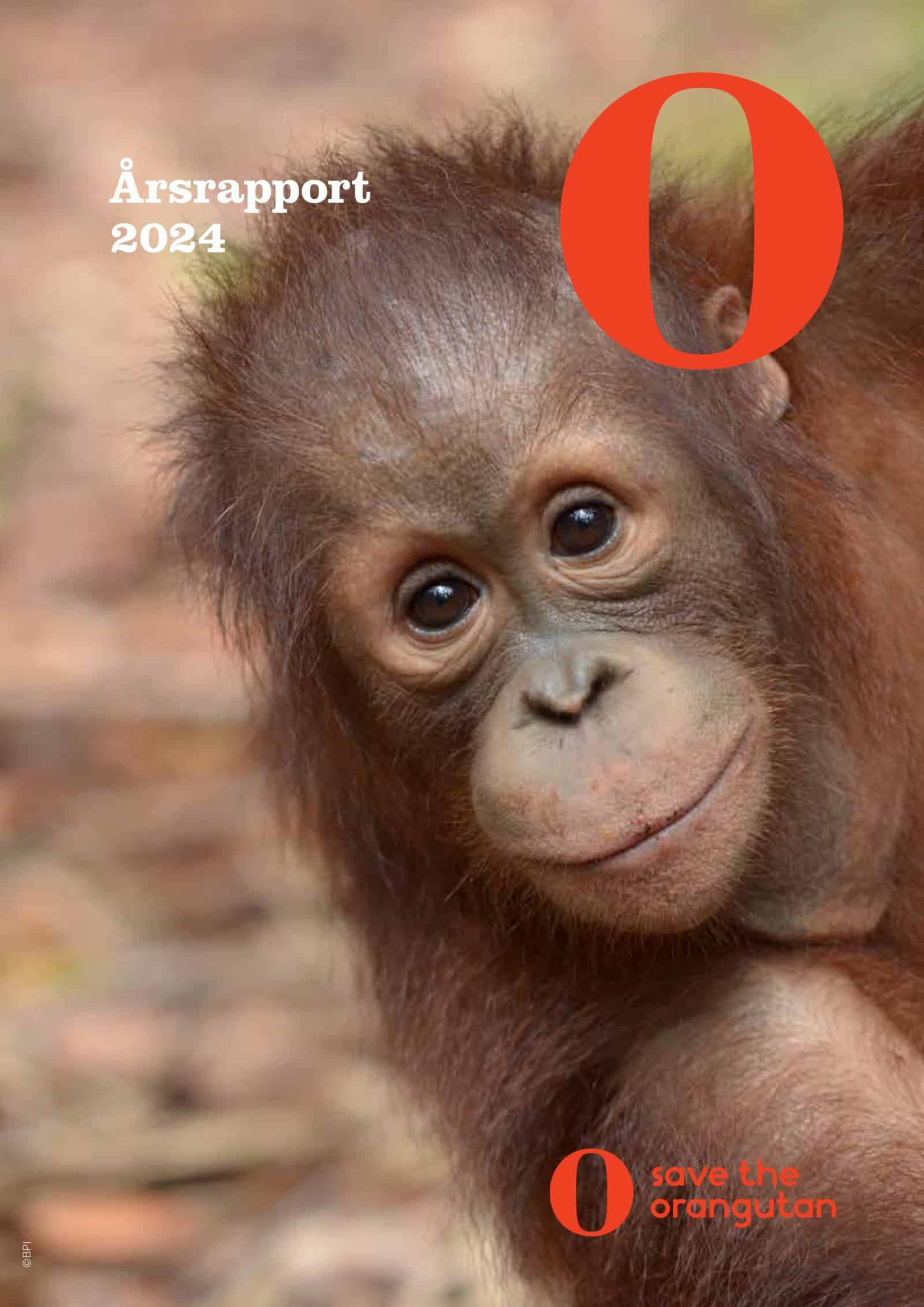 //redorangutangen.dk/app/uploads/2025/06/Aarsrapport-front-2024_page-0001-scaled.jpg