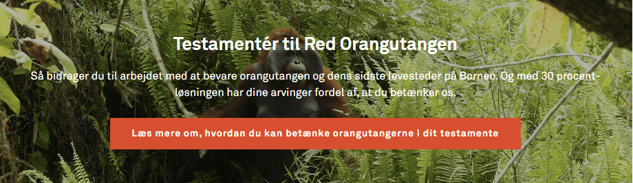 Sådan kan du støtte Red Orangutangen gennem testamentering
