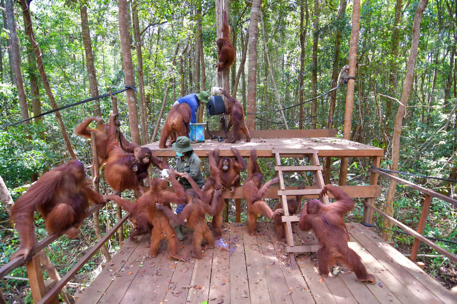 Activity in new FS 3 (1)