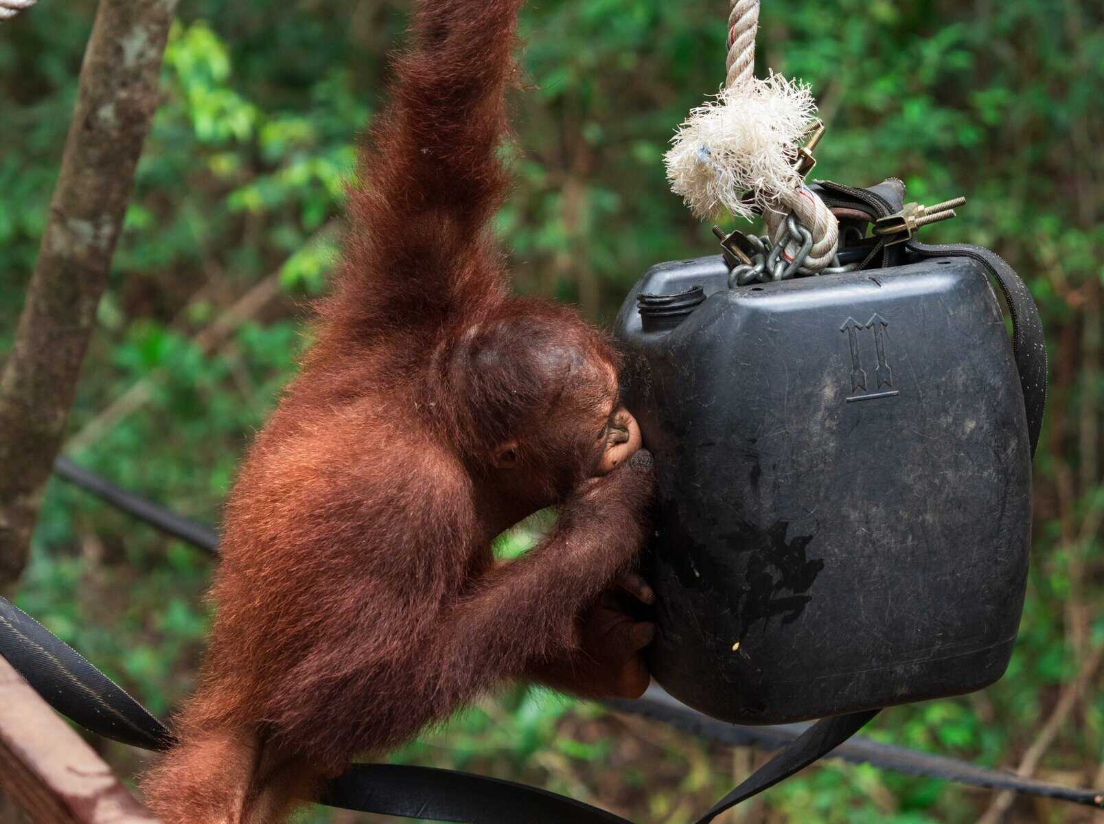 BPI BOSF Partners 2025_Onyer_Bjorn Vaughn_BONUS-06381