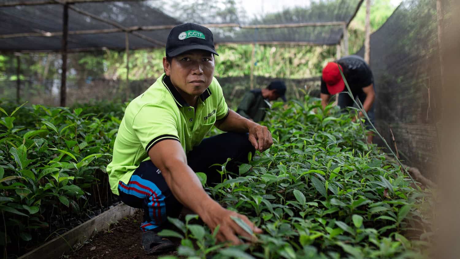 BPI_BOS DE_Mawas_2019-1786 (1)