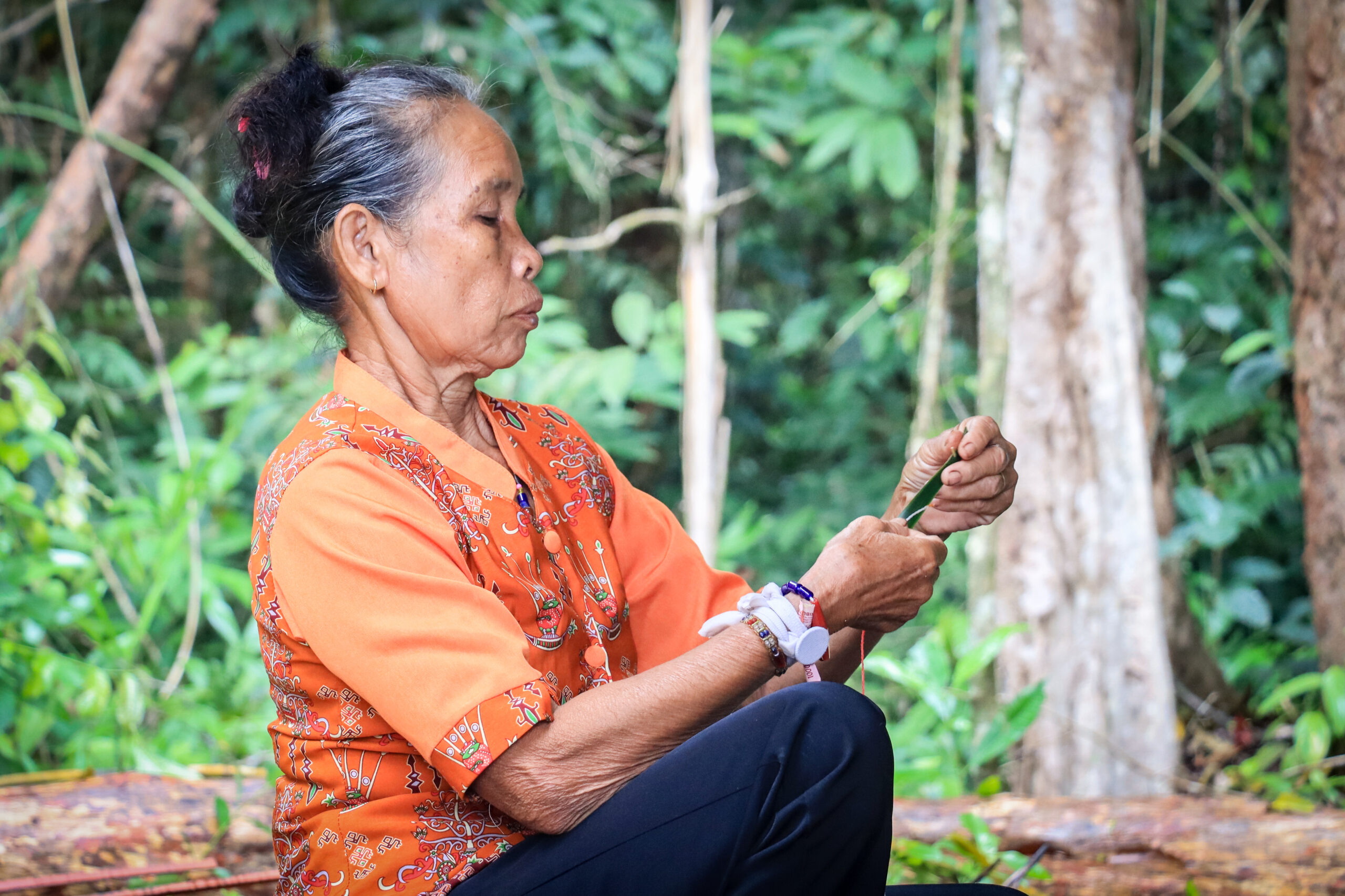 CCAM BNF and BOSF Forest Guardians credit BNF Bonxy