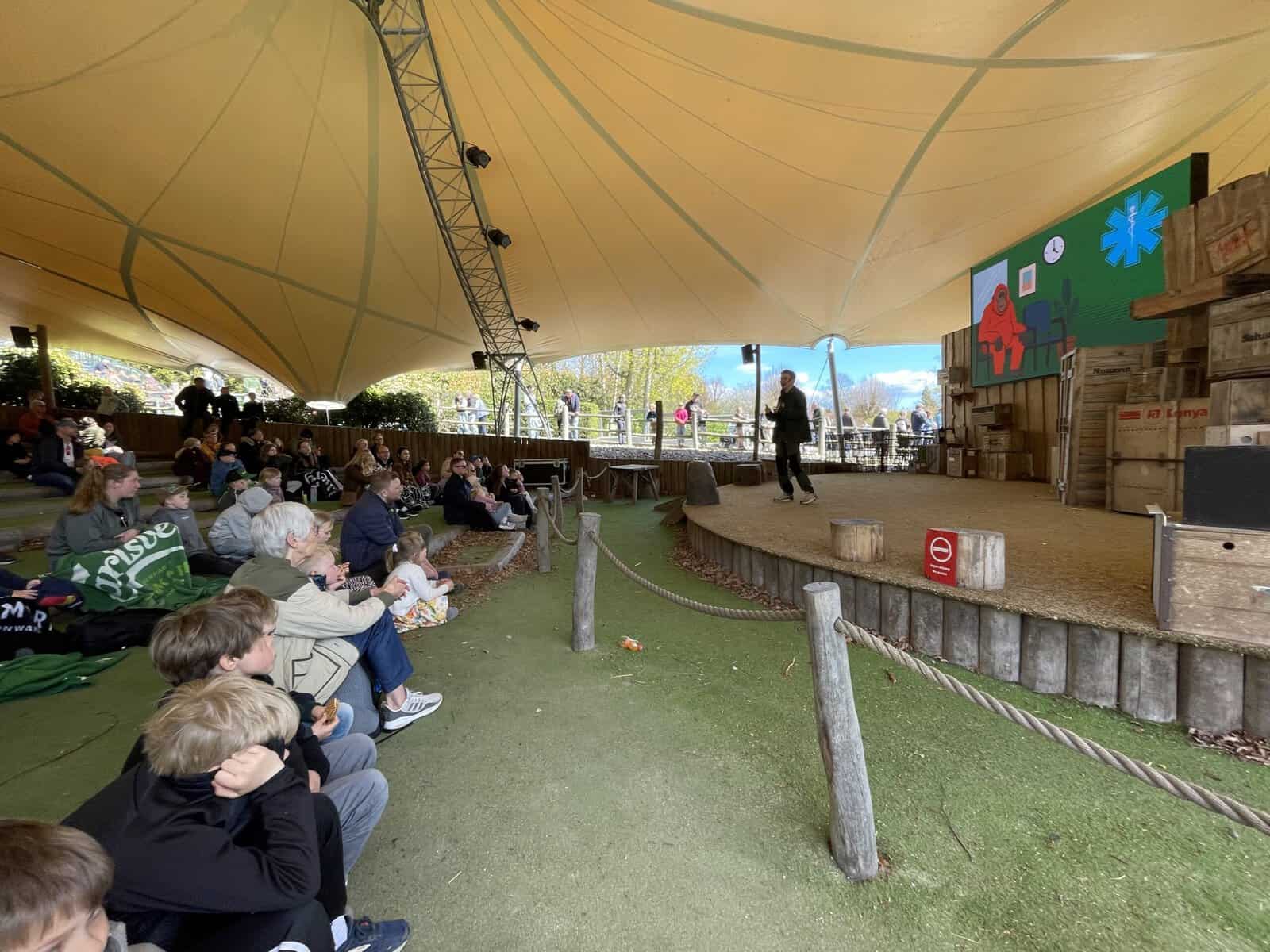 Dyr i Detaljen på scenen med spot på orangutangernes særlige evner - her om, hvordan man har observeret, at orangutanger kan selv-medicinere.