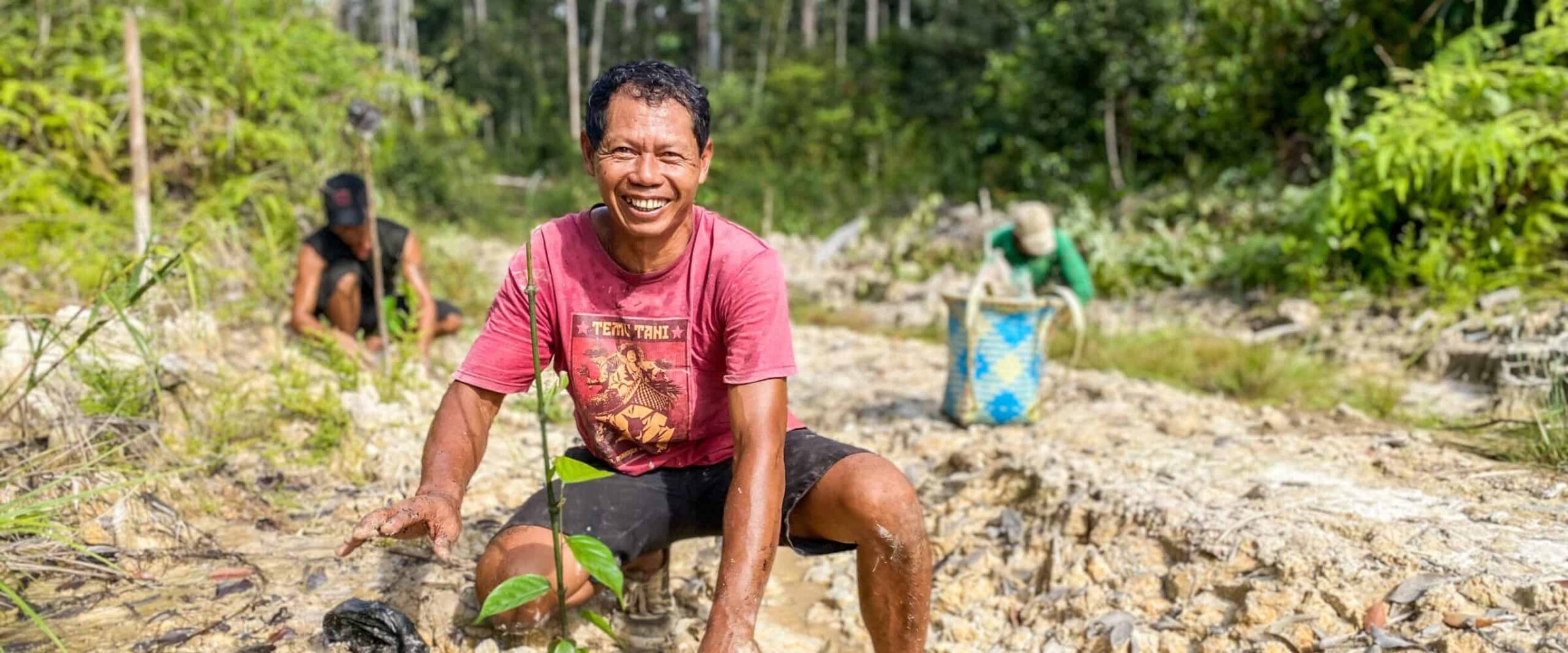 https://redorangutangen.dk/app/uploads/2026/08/250924-frise-sustainable-livelihoods-purun.pdf-7000-x-2000-px-4800-x-3600-px-4800-x-2000-px-4800-x-2500-px-4800-x-2000-px-scaled-2400x1000.jpg
