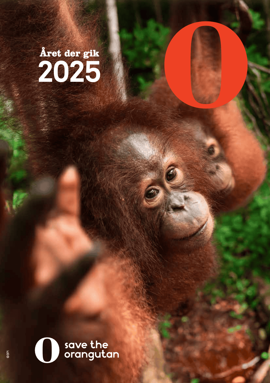 //redorangutangen.dk/app/uploads/2026/09/Front-DK.png