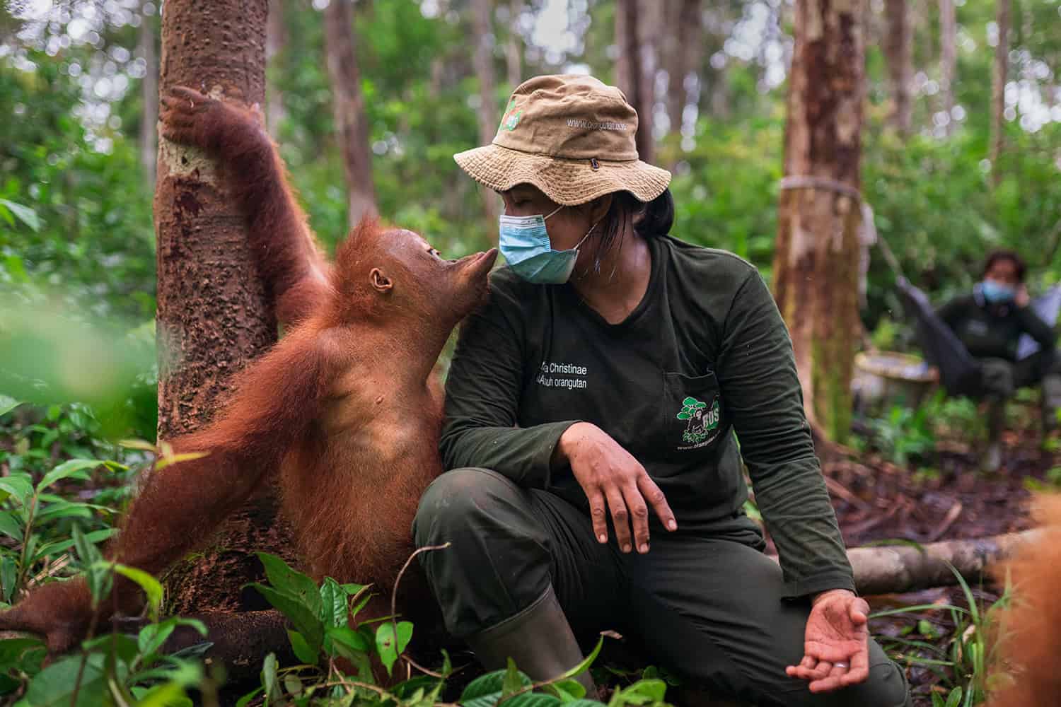 The Animal Keeper Who Was Showered With Hugs - Save The Orangutan