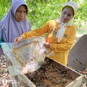 Biodling på Borneo