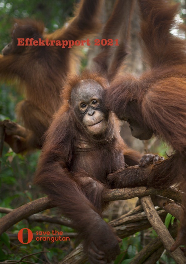 //redorangutangen.dk/app/uploads/sites/3/2024/12/Effektrapport-2021-image.jpg