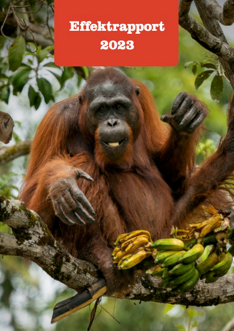 //redorangutangen.dk/app/uploads/sites/3/2024/12/Effektrapport_2023-image.png