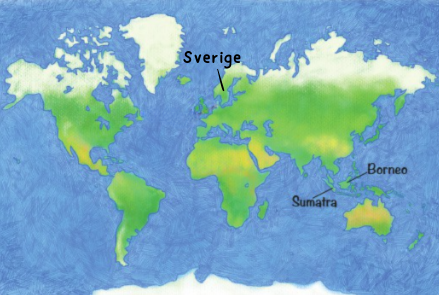 Världskarta barn Sverige