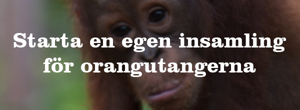 for barn insamling