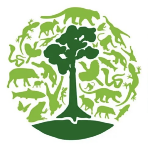 https://redorangutangen.dk/app/uploads/sites/3/2026/08/Screenshot-2026-08-25-at-11.38.05-300x300.png