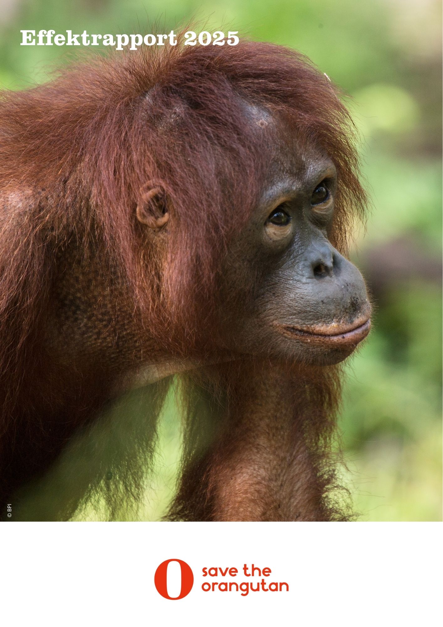 //redorangutangen.dk/app/uploads/sites/3/2026/09/Effektrapport-2025.jpg