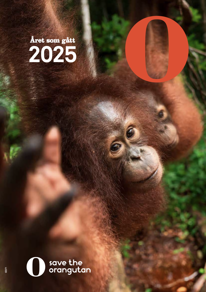 //redorangutangen.dk/app/uploads/sites/3/2026/09/Front-SE.png
